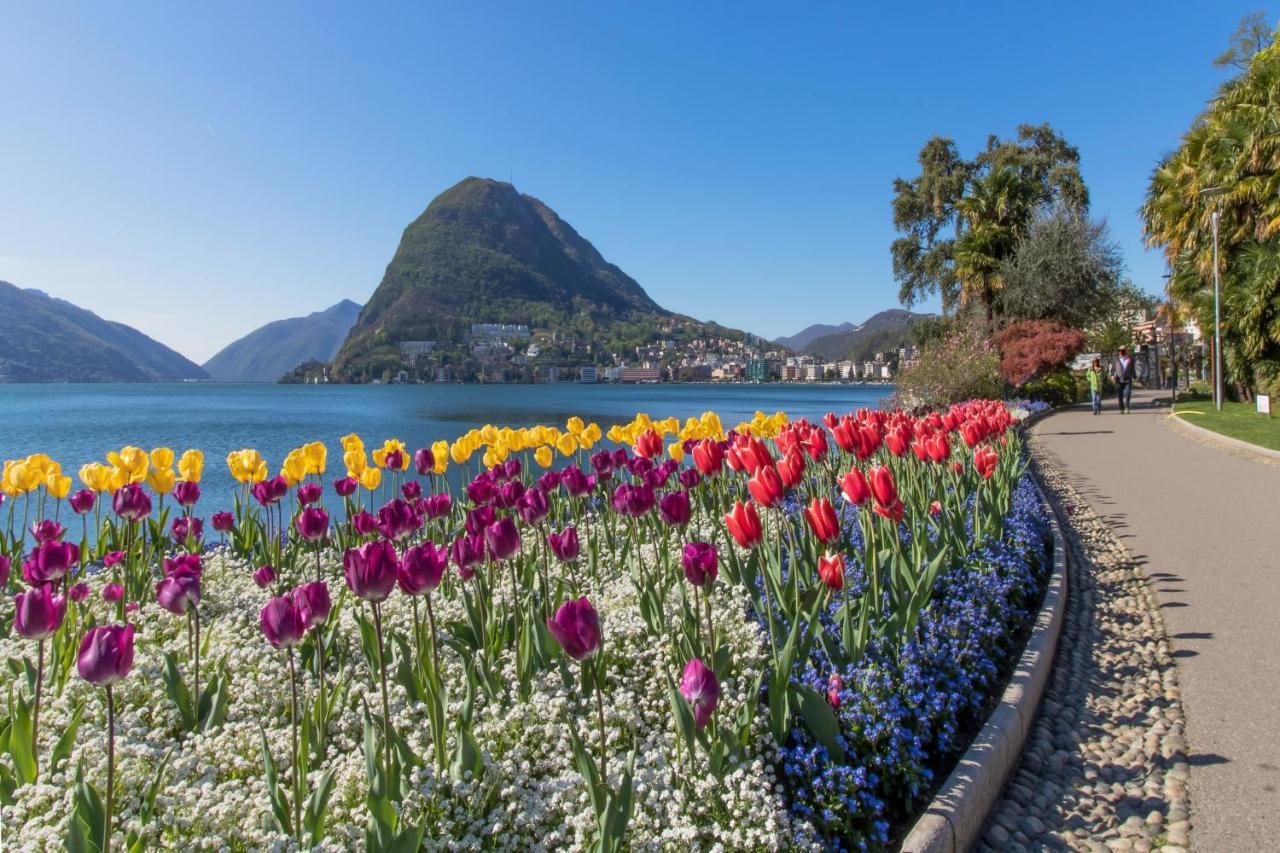 Comfort Family House Lugano Exterior photo